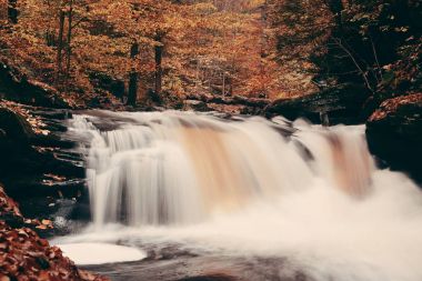 Park sonbahar şelaleler