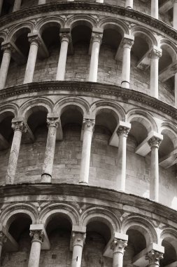 Leaning tower Pisa portre