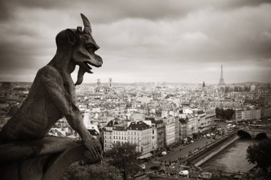 Paris çatı görünümü