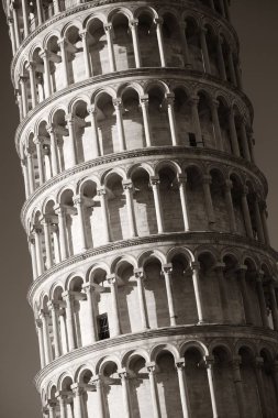 Leaning tower Pisa portre