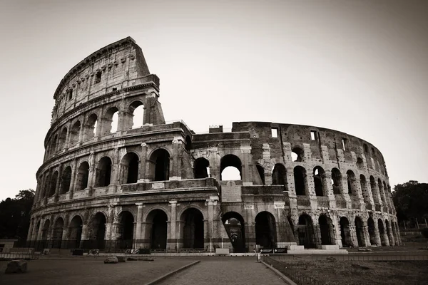 Colosseum Rome monochrome — Stock Photo, Image