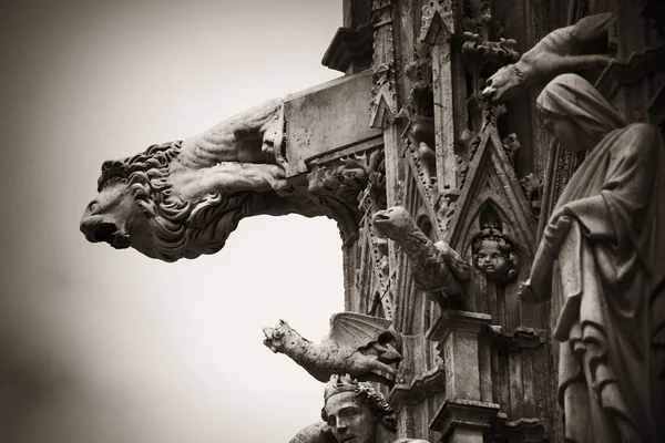 Chrlič Siena Cathedral — Stock fotografie