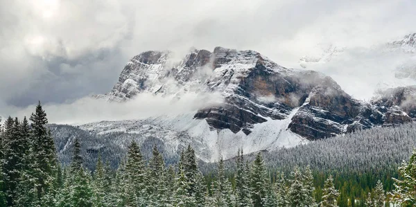 Bow Lake Panorama — Stockfoto