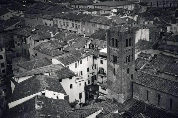 Lucca vista por encima —  Fotos de Stock