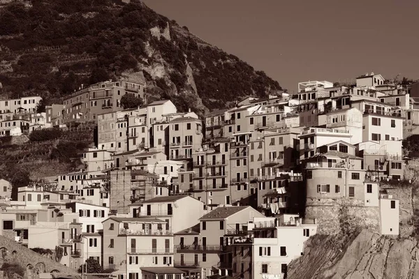 Edifici Manarola alle Cinque Terre — Foto Stock