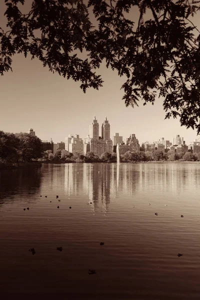 Central Park'a sonbahar — Stok fotoğraf