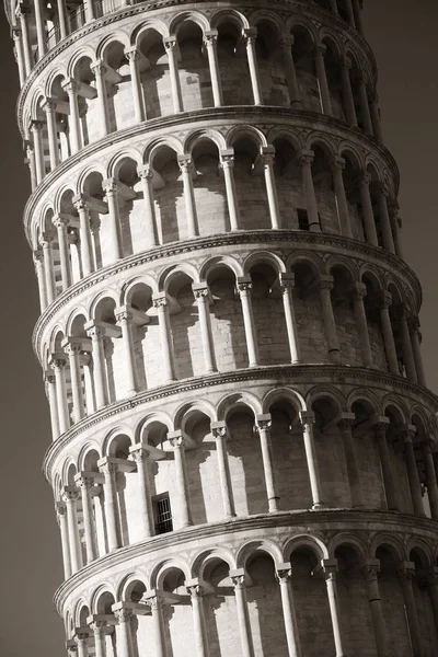 Leaning tower Pisa portre