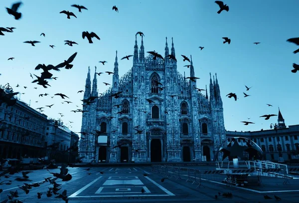 Holub Milan Cathedral Square — Stock fotografie