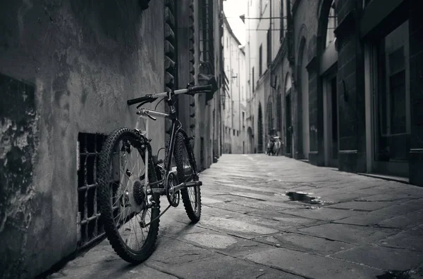 Lucca bicicleta de calle — Foto de Stock