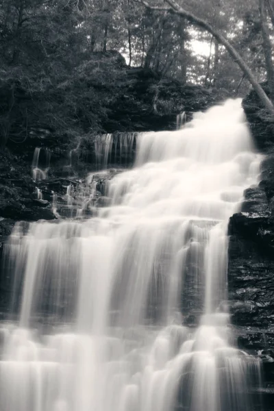 Wasserfälle in schwarz und weiß — Stockfoto