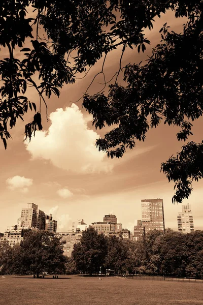 Parque central primavera — Fotografia de Stock