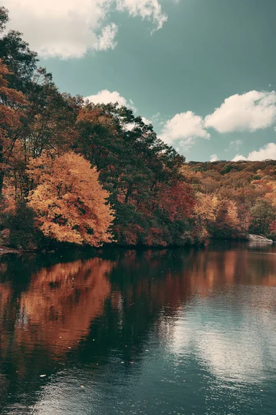 sonbahar renkli yeşillik
