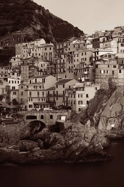 Manarola i Cinque Terre svart och vitt — Stockfoto