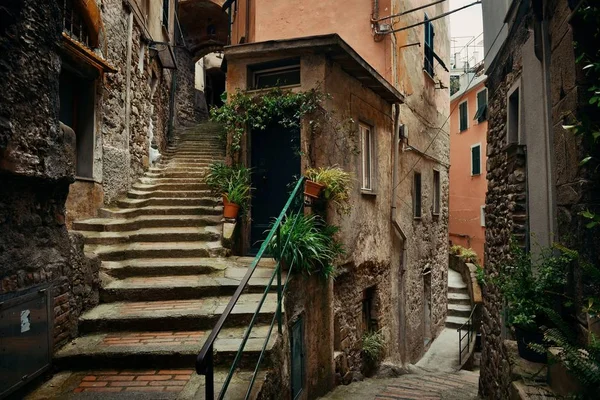 Vista típica del callejón en Riomaggiore — Foto de Stock