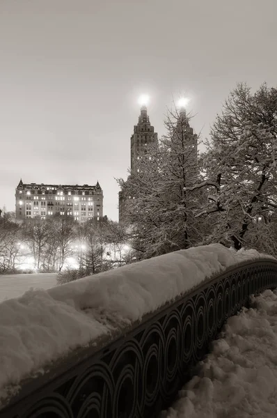 Central park vinter — Stockfoto