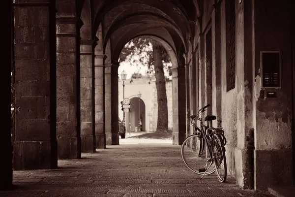 Lucca calle pasillo bicicleta — Foto de Stock