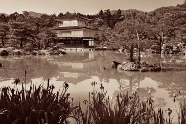 Tarihi bina Kinkaku-ji Tapınağı 