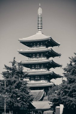 Tokyo Sensoji Tapınağı