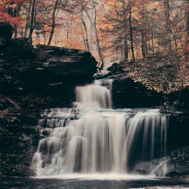 Park sonbahar şelaleler