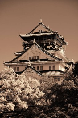 Osaka Kalesi ünlü tarihi dönüm noktası olarak