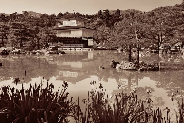 Tarihi bina Kinkaku-ji Tapınağı 