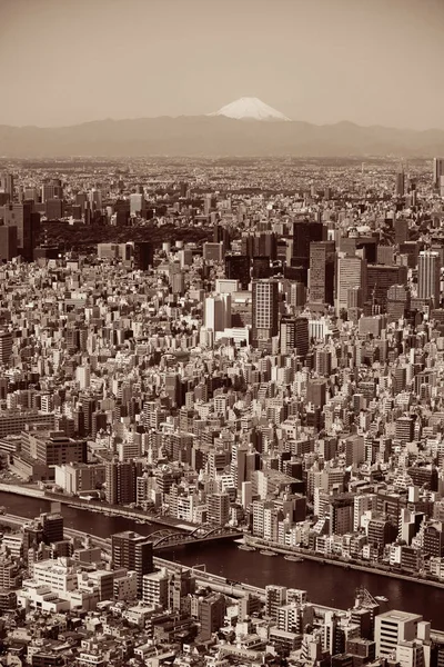 東京都市のスカイラインを一望 — ストック写真