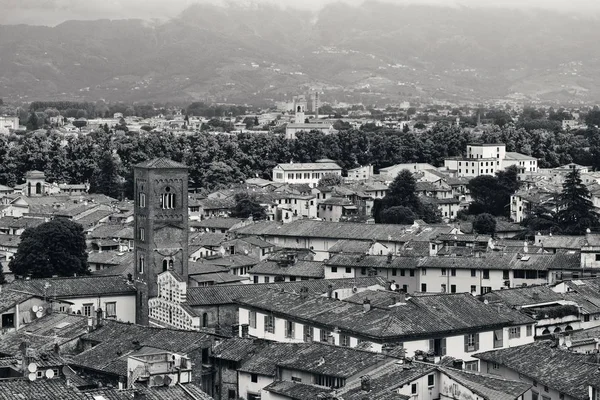 Torre do horizonte de Lucca — Fotografia de Stock