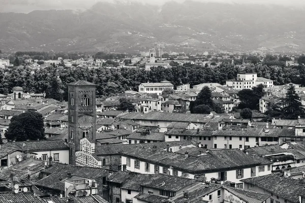 Torre skyline di Lucca — Foto Stock