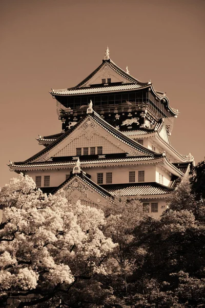 유명한 역사적 랜드마크로 오사카 성 — 스톡 사진