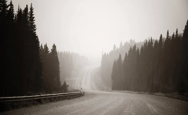 Carretera brumosa en el bosque — Foto de Stock