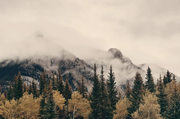 Nationaal park Banff — Stockfoto