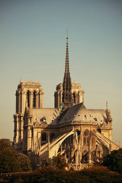 Paris Notre Dame Cathedral — Stockfoto