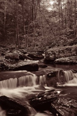 Siyah beyaz şelaleler