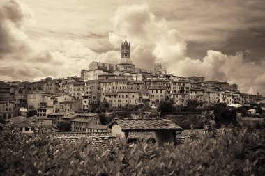 Siena Katedrali ile ortaçağdan kalma şehir 