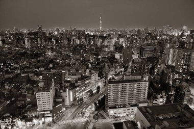 Tokyo şehir manzarası