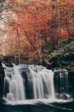Park sonbahar şelaleler