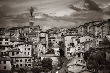 Ortaçağ şehri Siena manzarası 