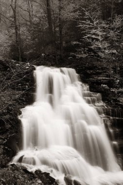 Siyah beyaz şelaleler