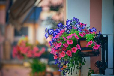 Cinque Terre buildings