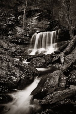 Siyah beyaz şelaleler