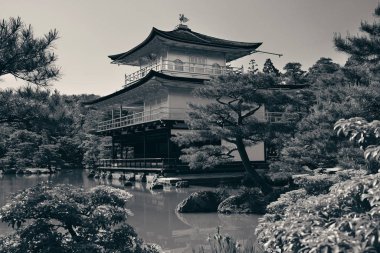 Kyoto kinkaku-ji Tapınağı
