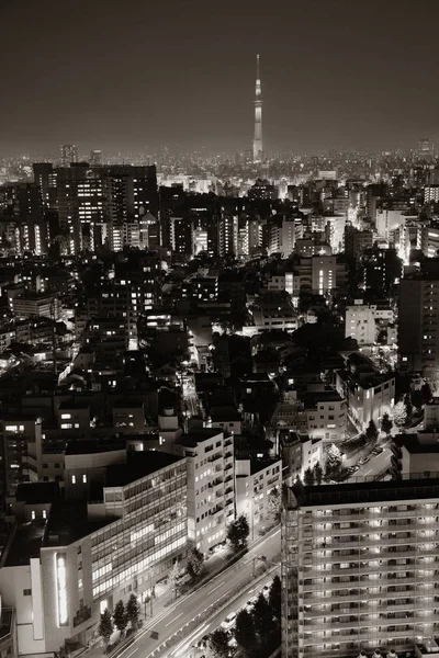 Tokyo urban skyline — Stockfoto