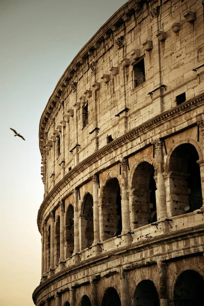 Roma'daki Colosseum Harabeleri — Stok fotoğraf