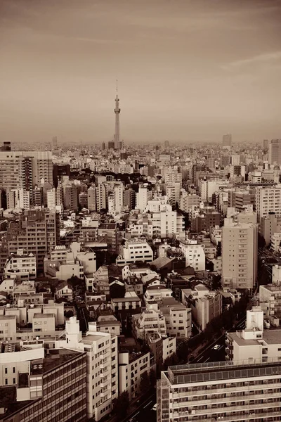 Tokyo skyline urbano —  Fotos de Stock