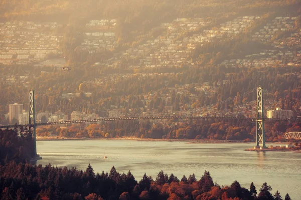 Lions Gate Bridge — Stock fotografie