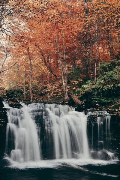 Park sonbahar şelaleler