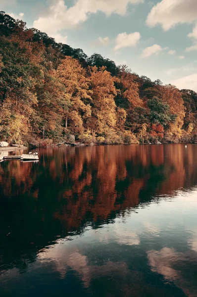 sonbahar renkli yeşillik 