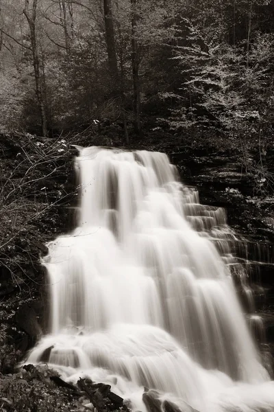 Siyah beyaz şelaleler