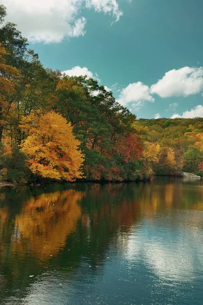 Herbst buntes Laub — Stockfoto