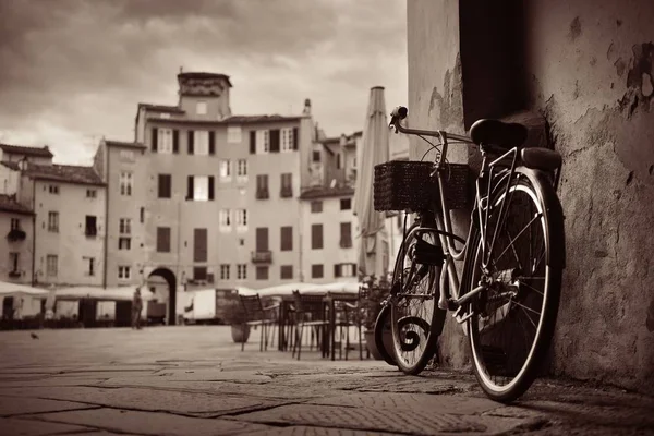 Piazza dell anfiteatro itt: Lucca — Stock Fotó